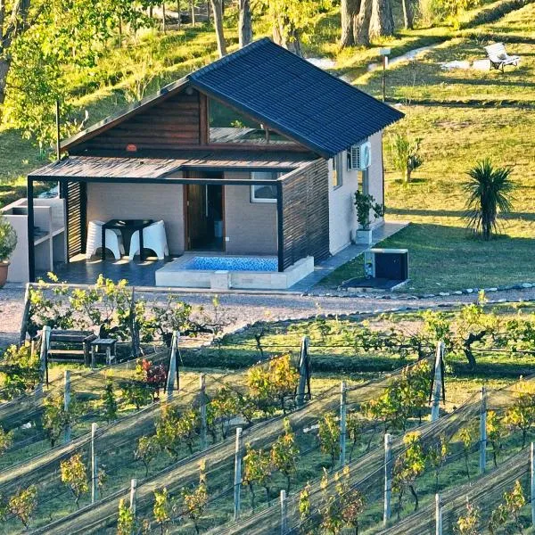 Martyniuk lodges entre viñedos, hotel in San Rafael