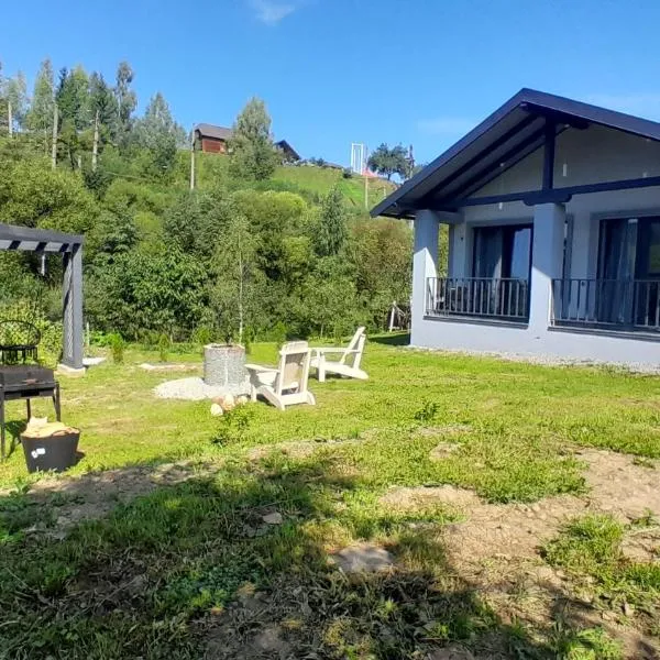 Grey Hous, ξενοδοχείο σε Slavske