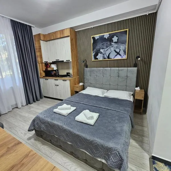 AchiDav 133, hotel in Onești