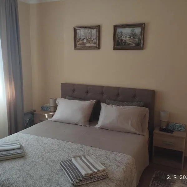 Prenoćište Lana 3, Hotel in Novi Banovci