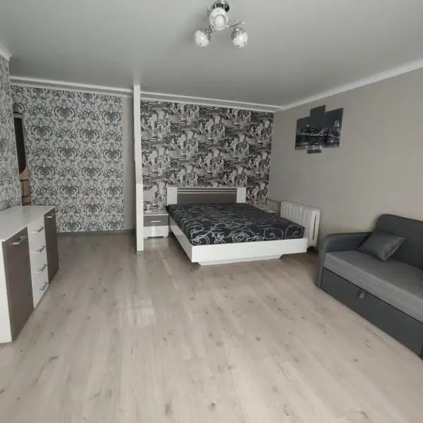 Однокімна квартира в центрі міста，位于米尔哥罗德的酒店