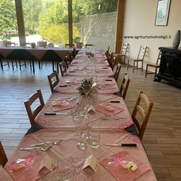 Agriturismo I TRE TIGLI, hotel in Rignano Flaminio