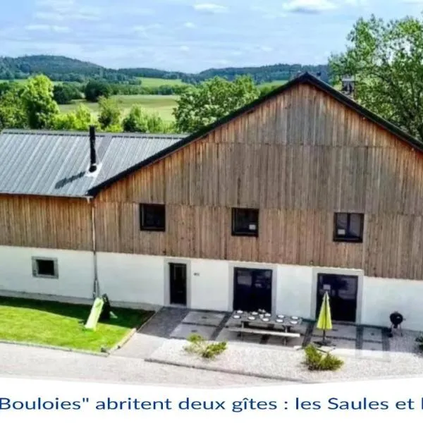 Les Bouloies - 2 gites familiaux l'Eden et les Saules -, hotel en Laviron