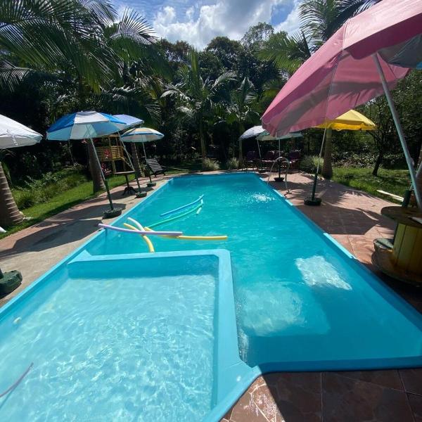 Família, Natureza e Liberdade - Foto 4