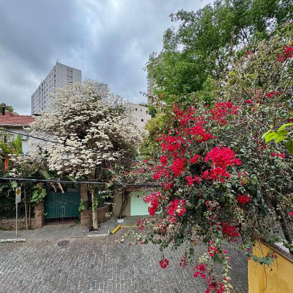 Quarto aconchegante com vista arborizada, próximo ao metrô Ana Rosa e Avenida Paulista! - Foto 2