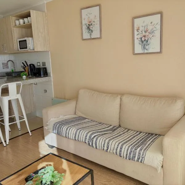 Departamento Centro Chillan - Parking -Vista, ξενοδοχείο σε Chillan