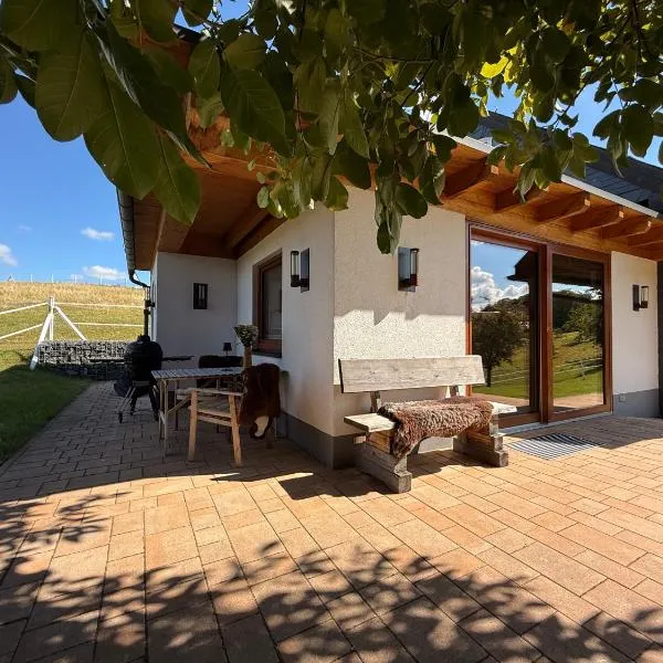 Chalet Landsitz, отель в городе Диппольдисвальде