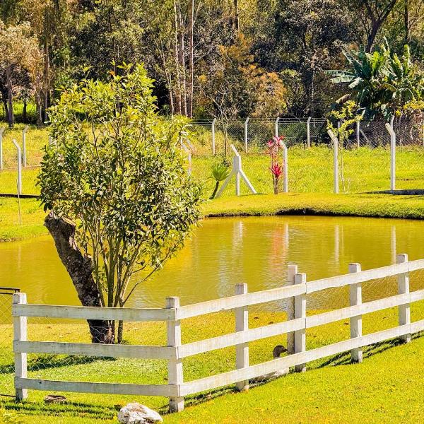 Recanto Lavivida - Conexão com a natureza - Foto 3