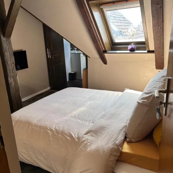 Kalon - La Bonne Étoile، فندق في Kogenheim