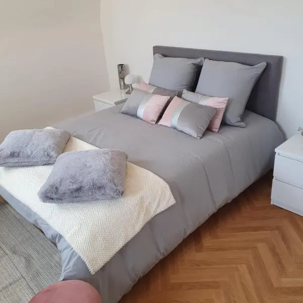 Duplex Éléonore-Lilas, hotel en Mulhouse