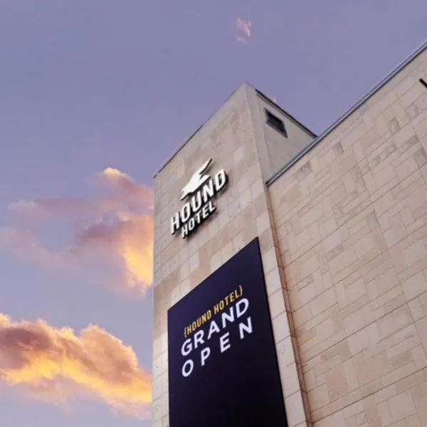 Suwon Hound Hotel，位于水原市的酒店