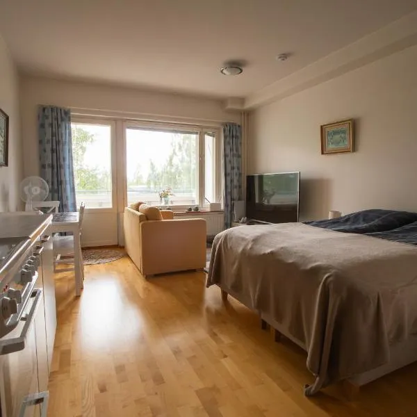Lil Haven Cozy Studio with Sauna, Glassed Balcony and Free Parking, hotel in Kemi