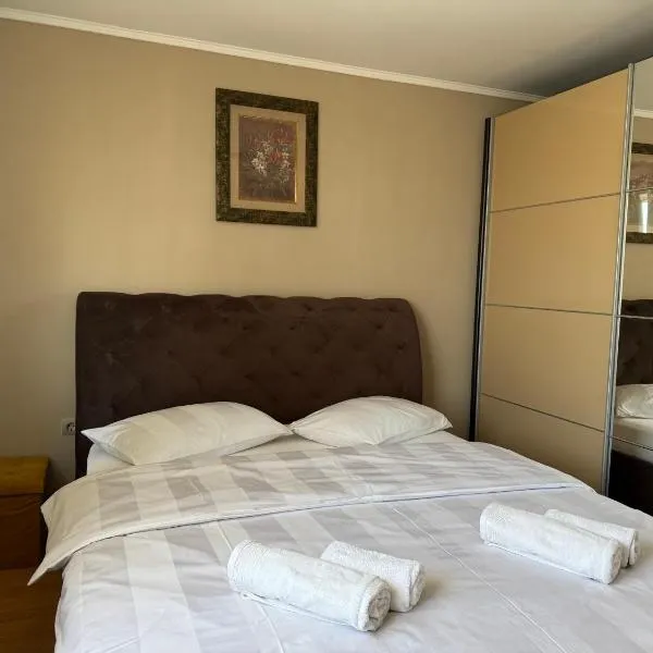 Casa Larisa Borsa, hotel in Borsa