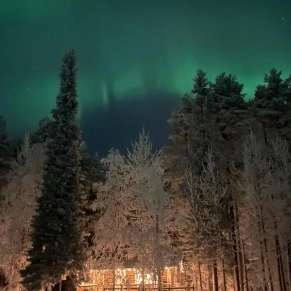 Rytiniemen rantamökki, hotel in Ranua