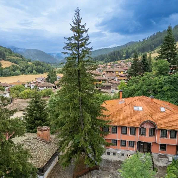 Hotel Hadjiite, hotel in Koprivshtitsa