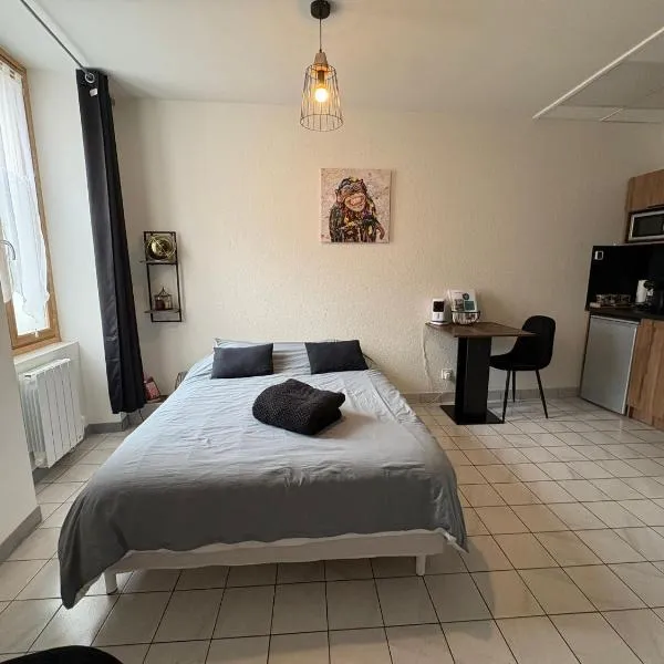Au 15 - Charmant Studio hyper centre, hotel in Saint-Amand-Montrond