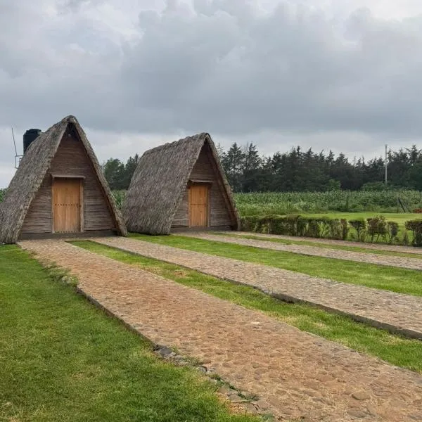 Cabañas Green Life, hotel em Huasca de Ocampo