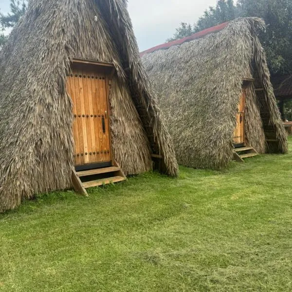 Cabañas Green Life, hotel in Huasca de Ocampo