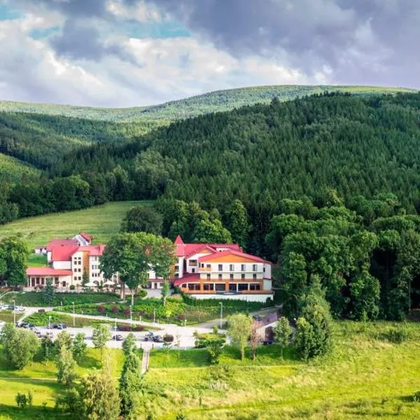 Malinowy Dwór Hotel Medical SPA, hotel v destinácii Świeradów-Zdrój