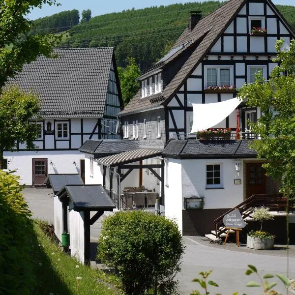Gasthof zur Post, hotel v destinaci Schmallenberg