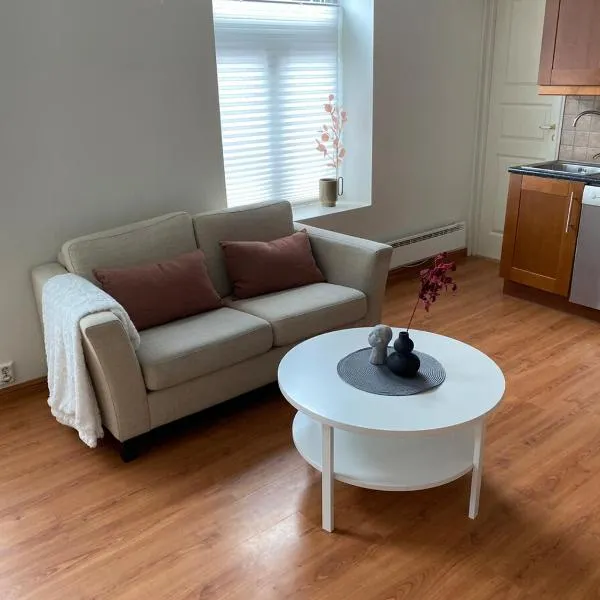 Central bus station apartment, wifi, tv, hotel in Narvik