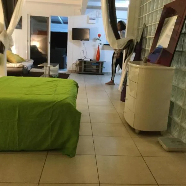 Le gîte les haut de la Marina, hotel in Basse-Terre