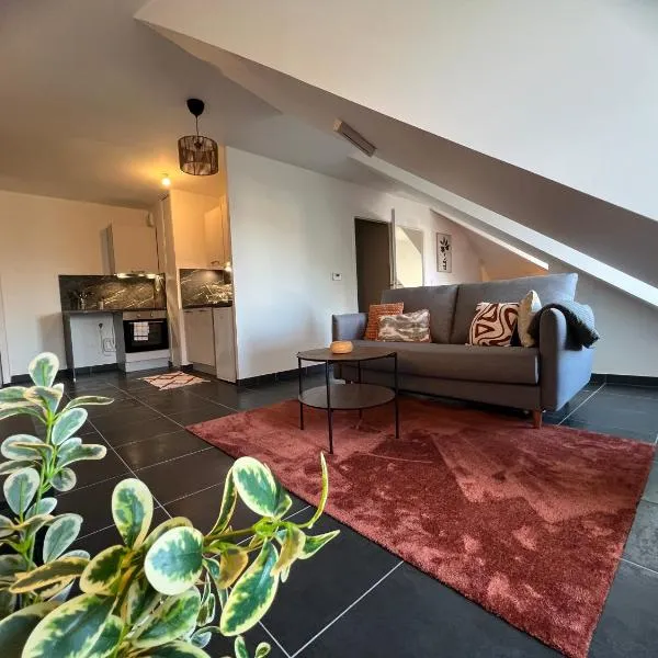 Télétravail pro - Calme, grand espace, plein centre, hotel v destinaci Orléans