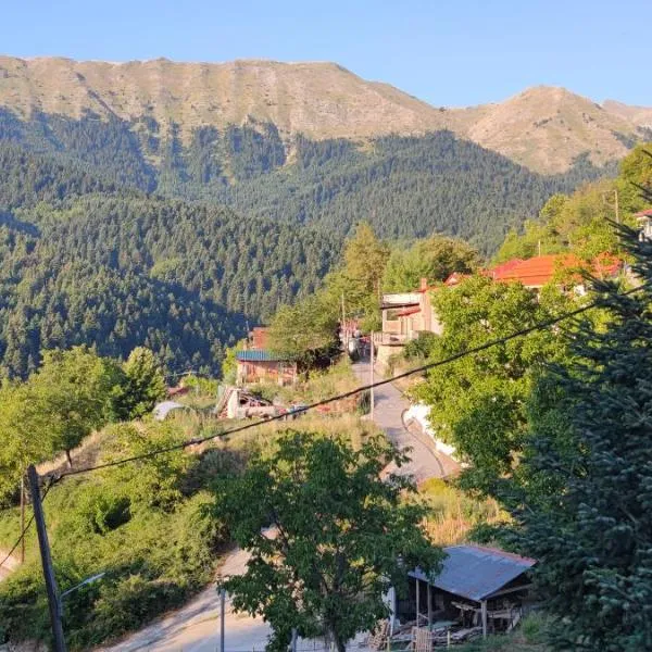 pasithea mountain rooms, hotel Fylaktí városában