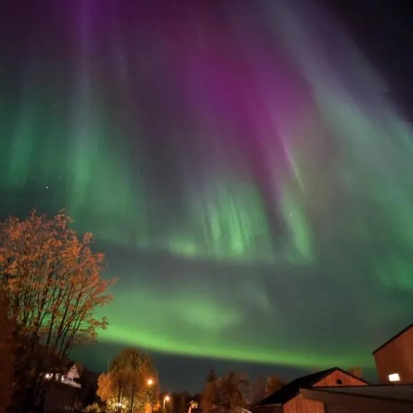 The family house，位于特罗姆瑟的酒店