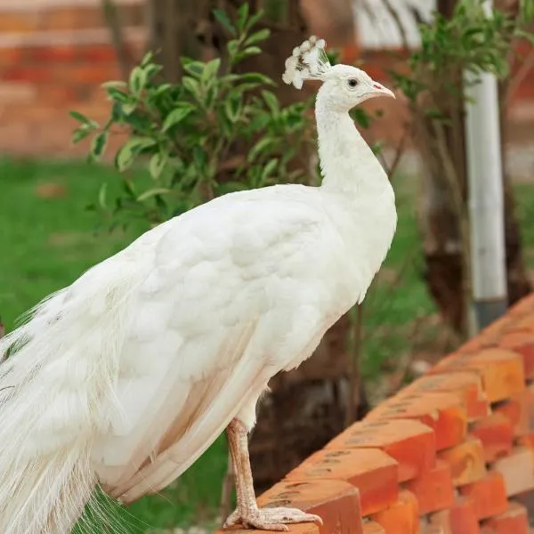 The Haven Boutique Hotel & Venue, готель у місті Кумасі