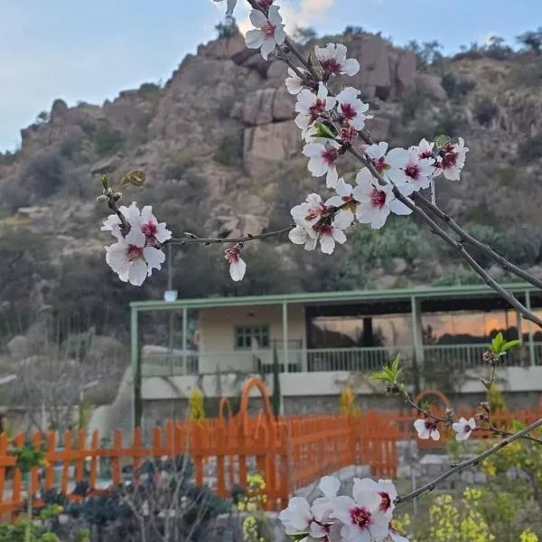 Cactus Bloom زهرة الصبار, hotel in Taif