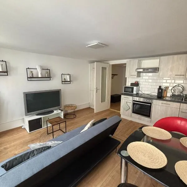 Appartement 40 m2, hotel in Porrentruy
