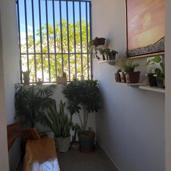Residencial Jasmim Apto Standard 04 - Foto 5