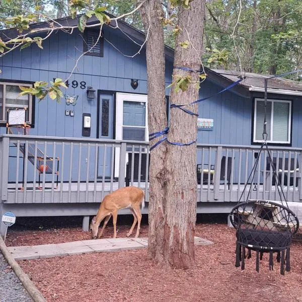 Fun Home in Pocono with Gameroom-Firpit-BBQ Grill-TV and AC in all rooms, hotel en Tobyhanna