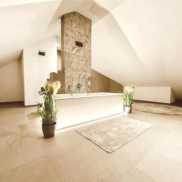 the Farmhouse No 50，奧斯納布呂克的飯店