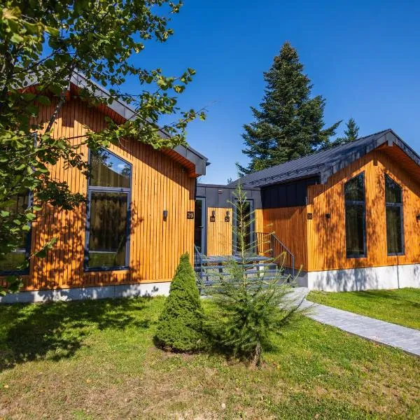 Phoenix Medical Resort, hotel in Skhidnitsa