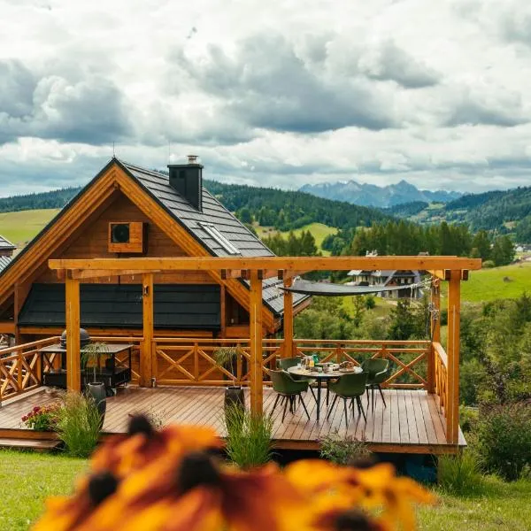 Houten Vakantiewoning "ReisnaarPolen" royaal ontbijt, sauna en Hottub, hotel en Czarna Góra