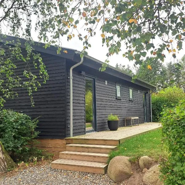 Motel Glyngøre, hotel in Roslev