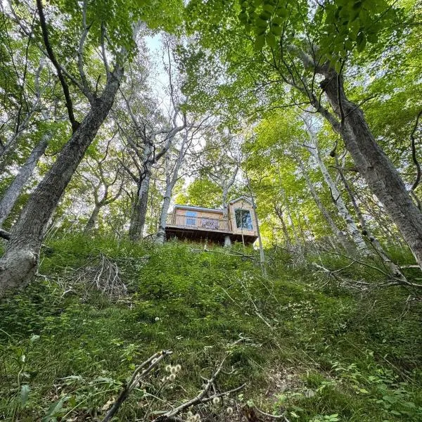 Ananda - Enchanted Forest Hideaway, hotel v destinaci Pleasant Bay