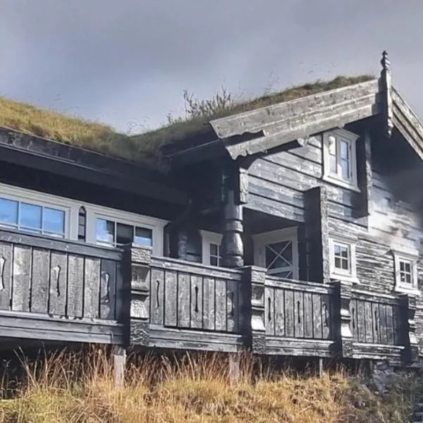 Luxurious 4 bedroom Mountain Cabin with Gaustatoppen View, hotel v destinaci Gaustablikk