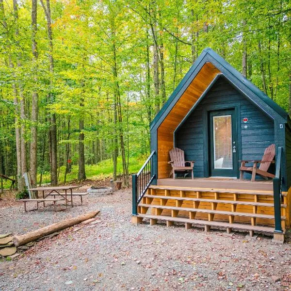 A-frame 1, hotel in Gaines