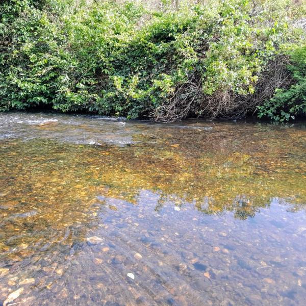 Chalé Harmonia em Vivenda Vista da Serra