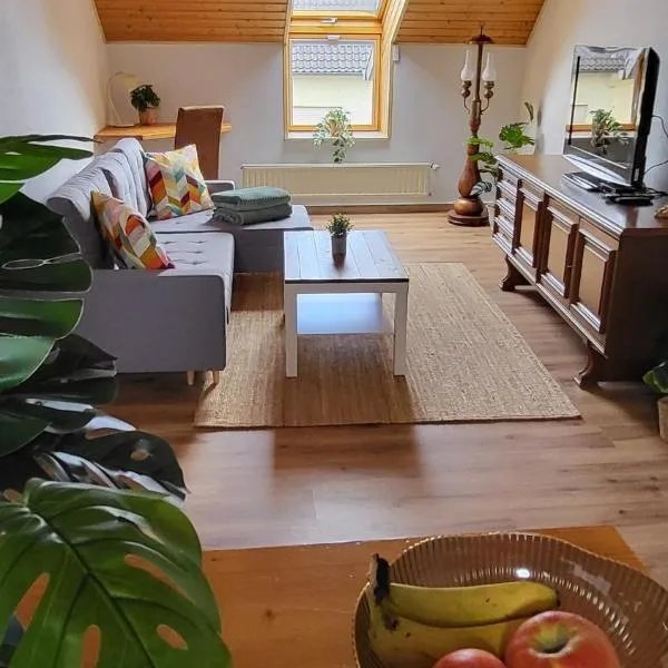 Charmante Wohnung in Saarlouis-Fraulautern，位于萨尔路易斯的酒店