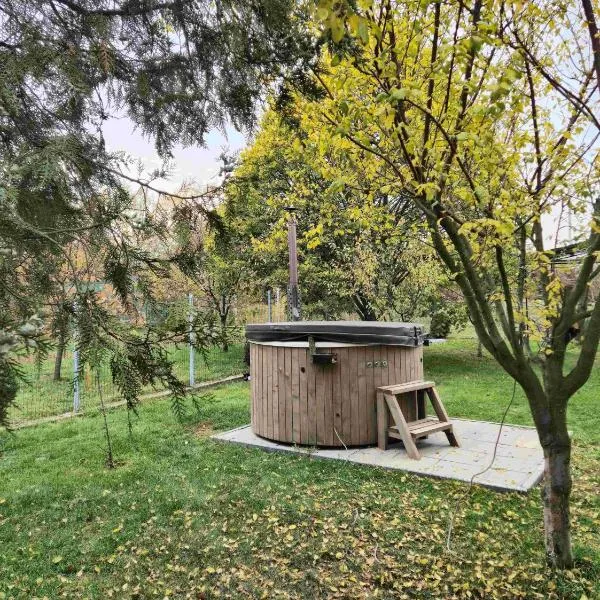 Dana's House, hotel v destinácii Rîşnov
