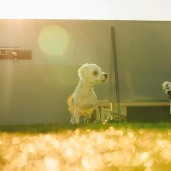 Small Resort 志摩, hotell i Shima