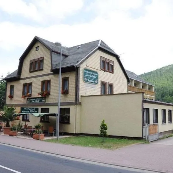 Gasthaus und Pension Zur Libelle、Luisenthalのホテル