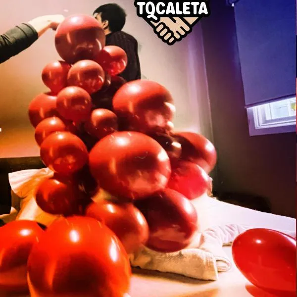 TQCaleta Providencia Barrio Italia, hotel em Santiago