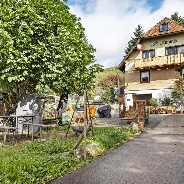 Haus Antonis, hotel in Triberg