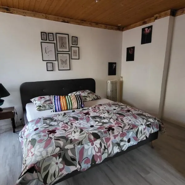 Suite Cosy Deluxe "Entre Nous", viešbutis mieste Le Thillot