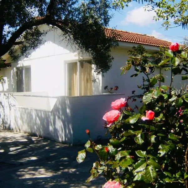 Pension Zoi, hotel in Kolimbia